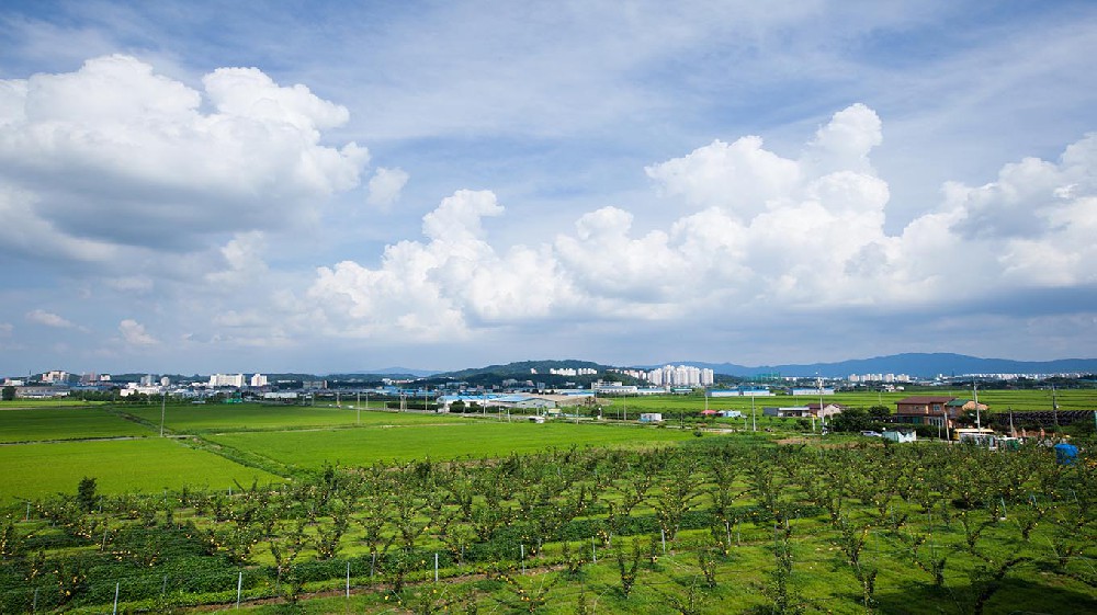 遂宁市山东省临沂沂南县农业局采购…