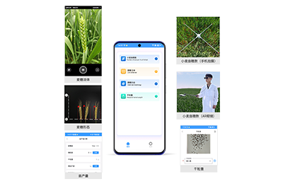 遂宁市小麦亩穗数分析仪IN-XM02